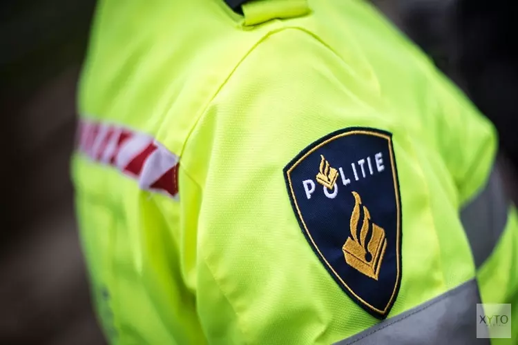 Man geslagen na confrontatie inbrekers in Montfoort
