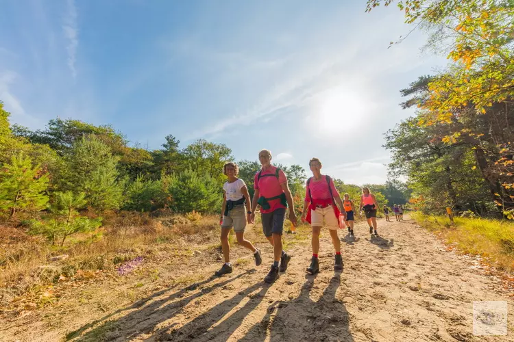 Extra startbewijzen beschikbaar voor het Soester Wandelweekend