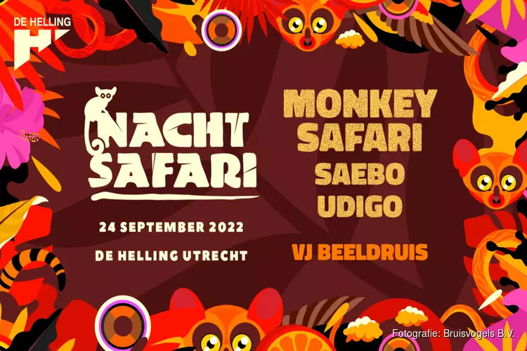 Nachtsafari - Monkey safari