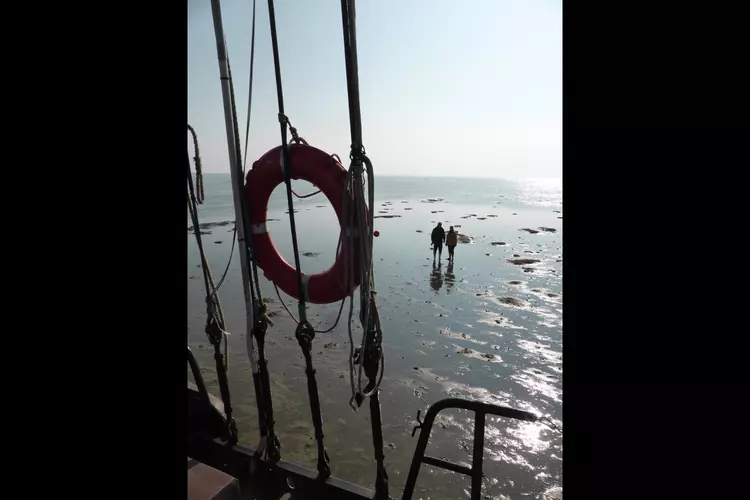 Zomer, zeilen, Waddenzee!