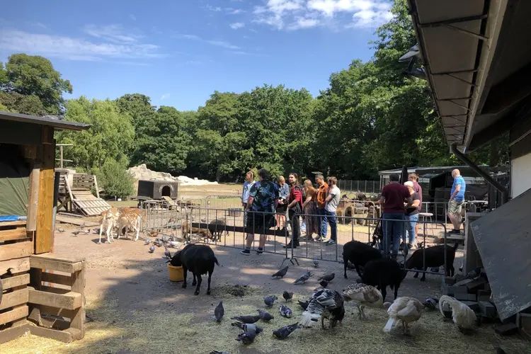 Dierenweides Utrecht op de schop