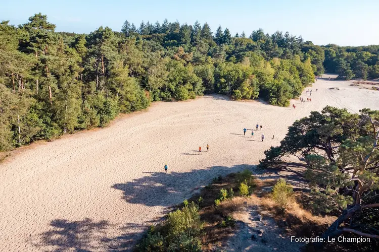 Laatste kans om mee te doen aan het Pink Ribbon Soester Wandelweekend