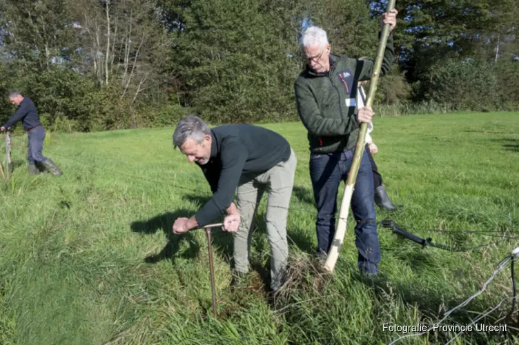 Samenwerken aan een mooier landschap in provincie Utrecht