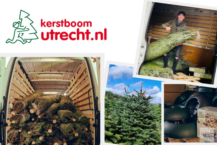 Kerstboom Kopen in Utrecht? Ontdek het Gemak van Kerstboom Utrecht