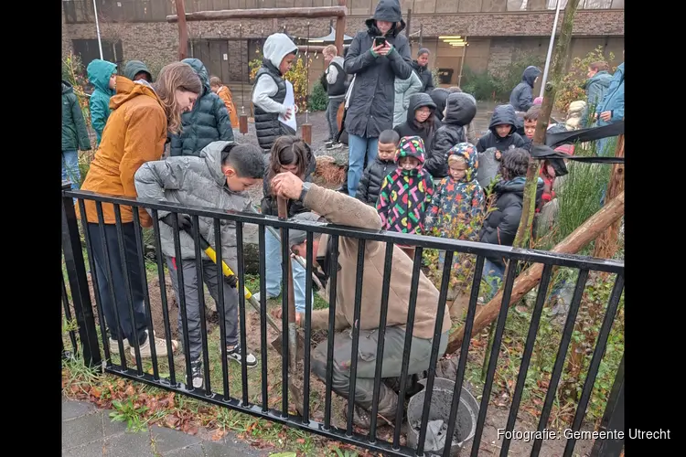 Gemeente Utrecht maakt werk van groenere schoolpleinen